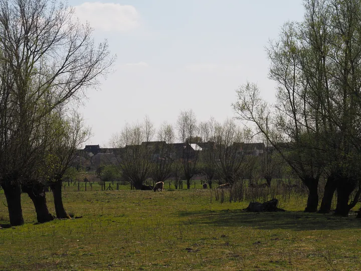 Kalkense Meersen (België)